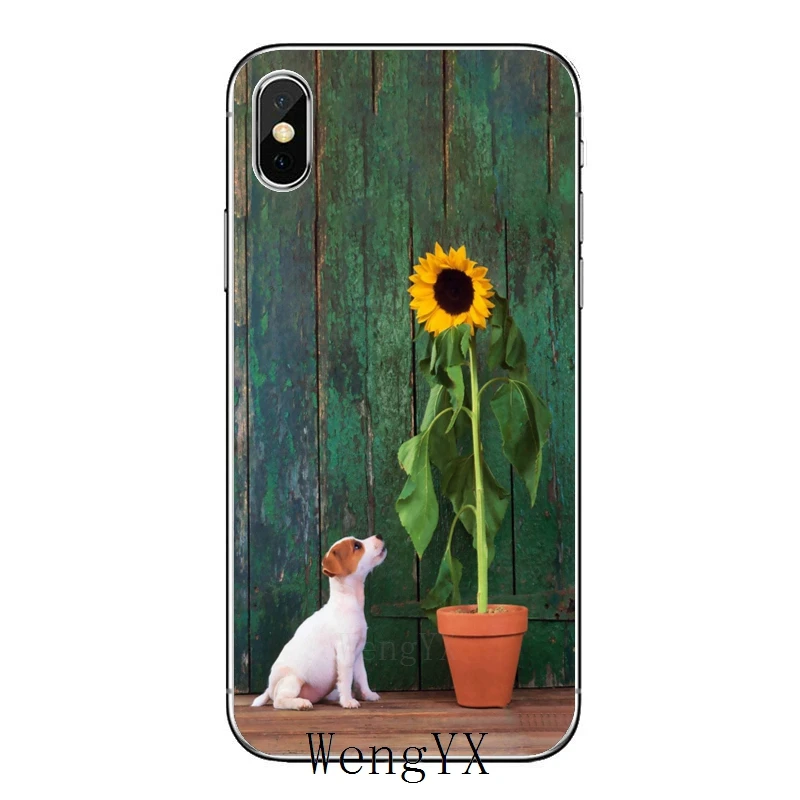 Джек Рассел терьер силиконовый чехол для мобильного телефона Xiaomi Redmi 9T 9C 9A 7 7A K20 6 6A