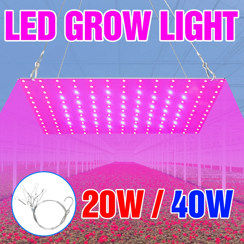 CanLing Full Spectrum Light 20W 40W Plant Grow LED Lamp 220V Phyto Lamp LED Growing Light 110V Greenhouse Lighting US EU UK Plug