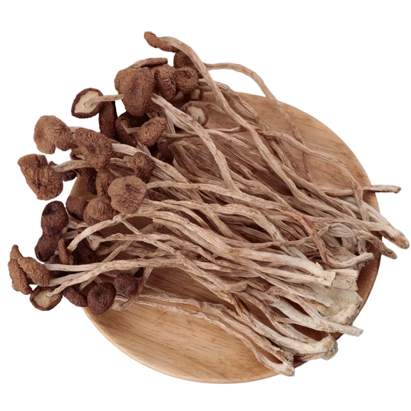 

Tea tree mushroom XiangNen don't open the umbrella mushroom tea pay 250 g