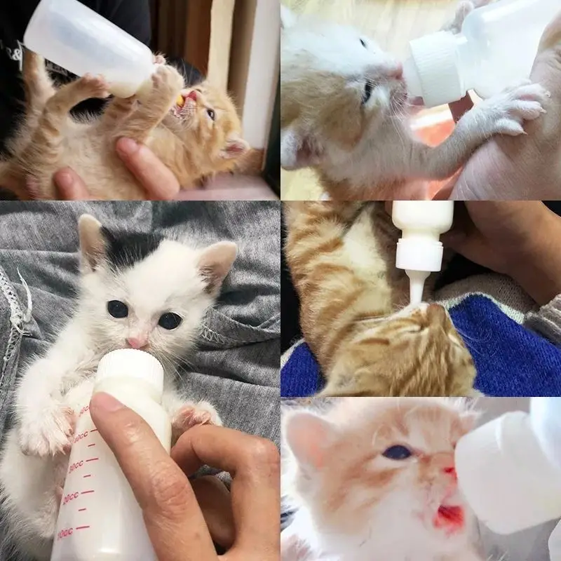 50ml/120ml Pet Dog Bottle Single Cat Milk Feeding Water Tools Puppy Kitten Nursing Feeders | Дом и сад