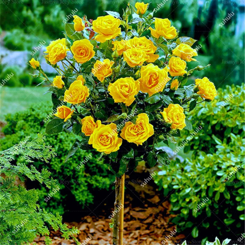 200 шт. искусственная Роза | Дом и сад