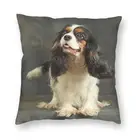 Мягкая Наволочка для диванной подушки, модель 40x40