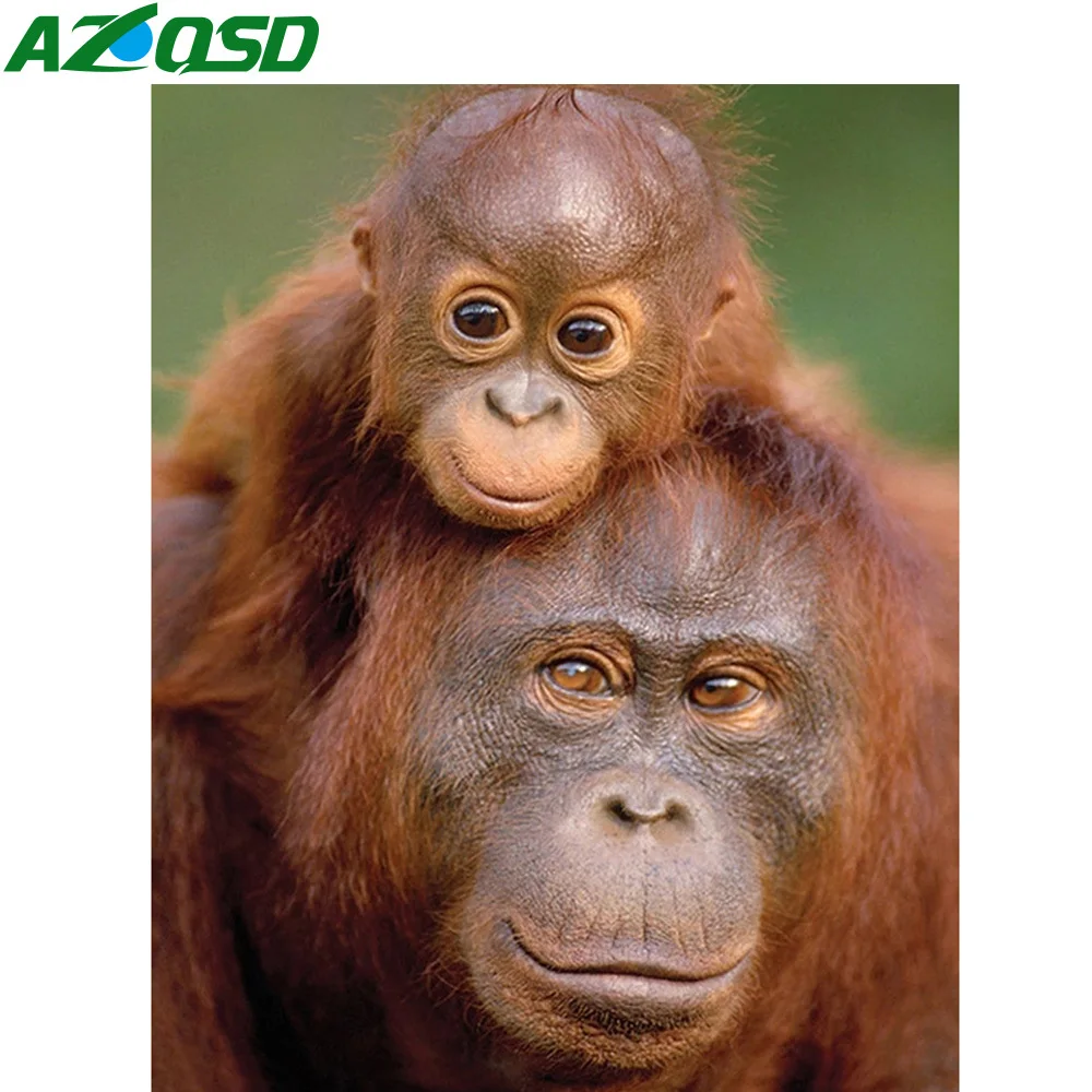 

AZQSD 5D DIY алмазная живопись орангутанг Вышивка крестом картина Стразы Алмазная вышивка животное мозаика домашний декор