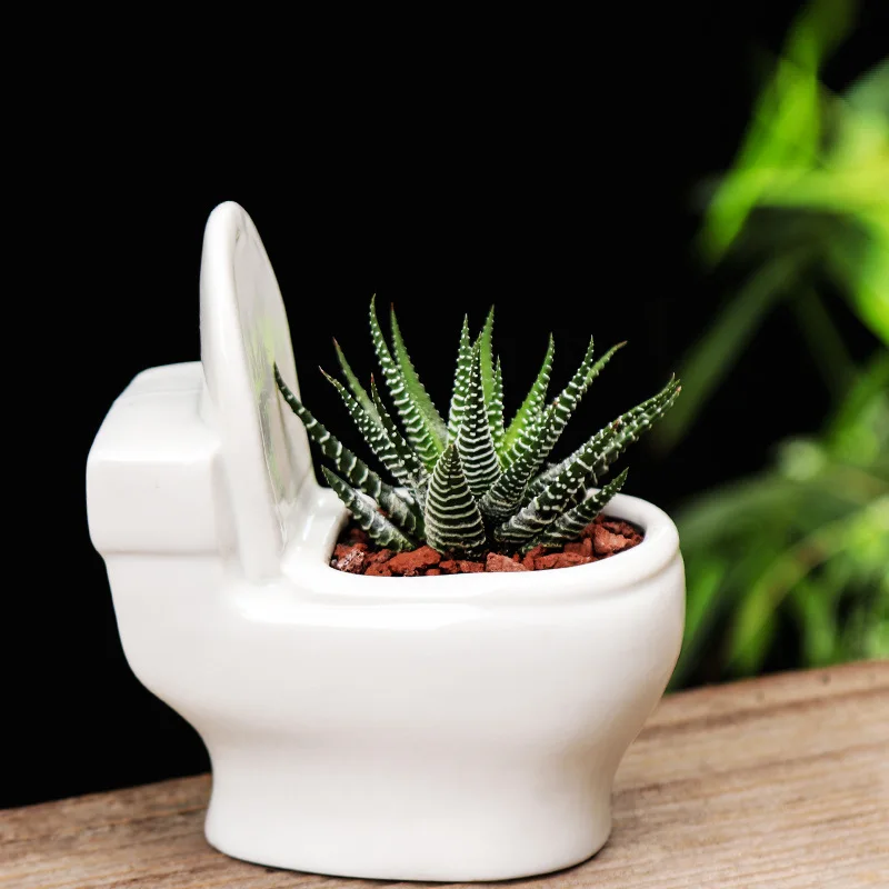 

Garden White Ceramic Succulent Flowerpot Creative Toilet Shaped European Balcony With Green Planter Hotel Flowerpot Pots Plants