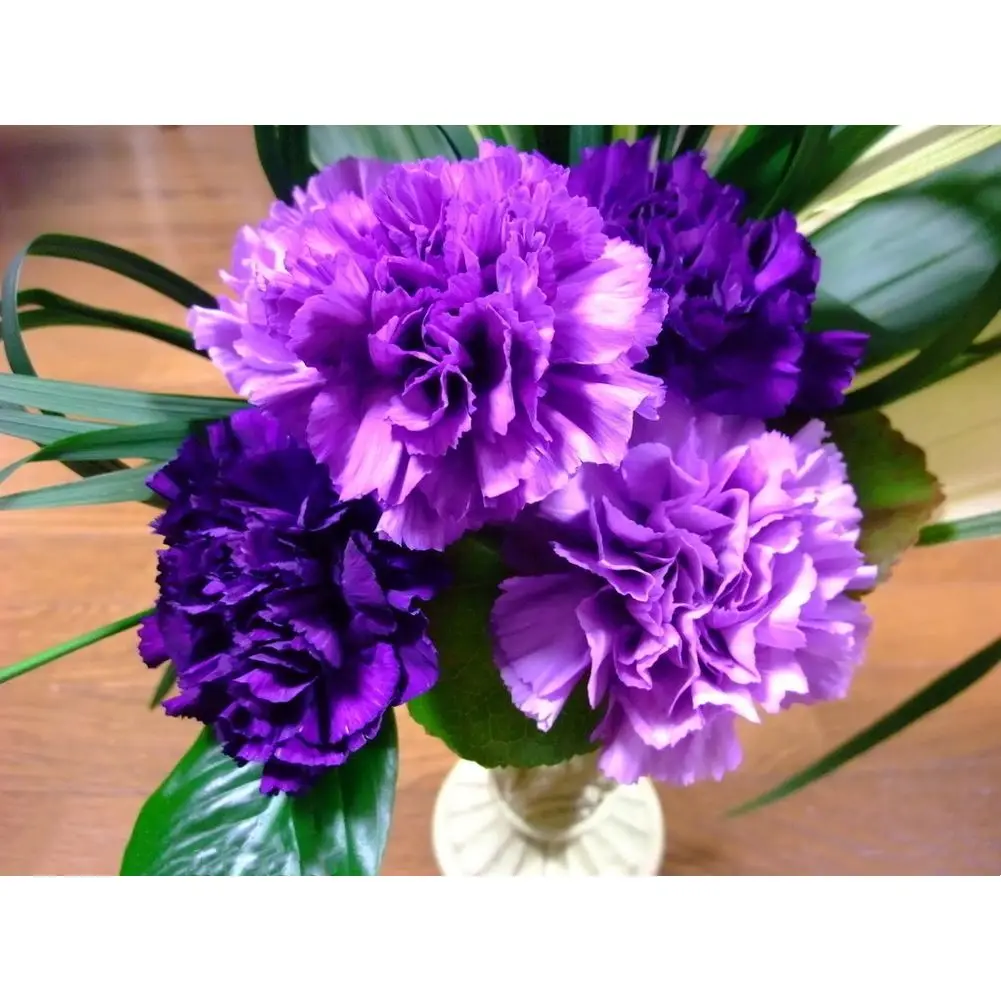 Продажа 5D алмазная картина с фиолетовыми гвоздиками Diy живопись вышивка