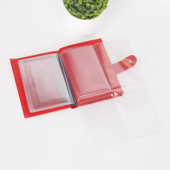 Рисунок 5 - Обложка для автодокументов и паспорта