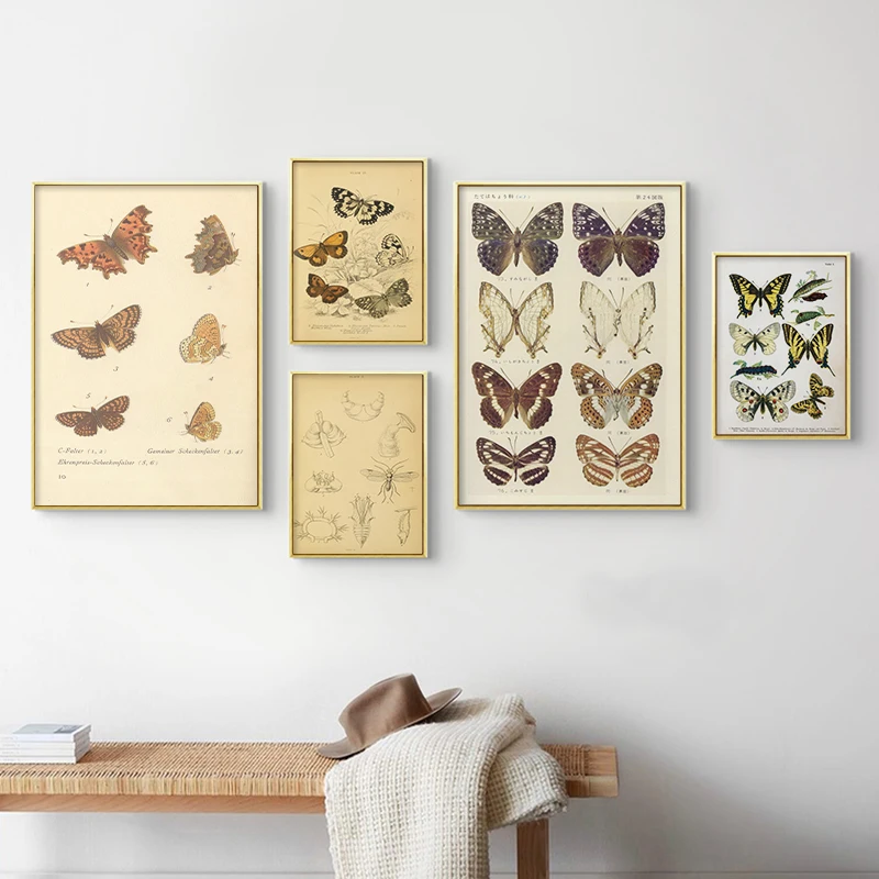 

Butterfly Insect Vintage Poster Papillons Print Canvas Painting Biology Education Wall Art Picture Modern Study Room Decoration