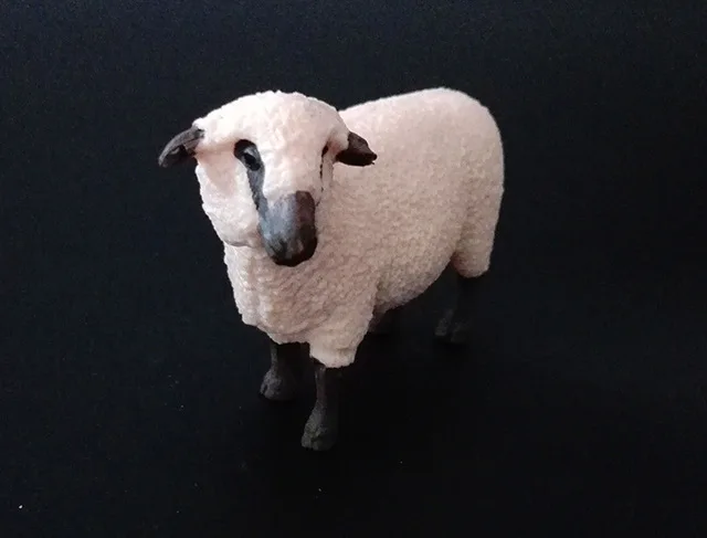Shropshire sheep Оригинальная натуральная дикая джунгли, ферма, животное, птица, серия, леопард, кошка, пантера, ягуар, Коллекционная модель, детская игрушка, подарок для детей - Цвет: Shropshire sheep