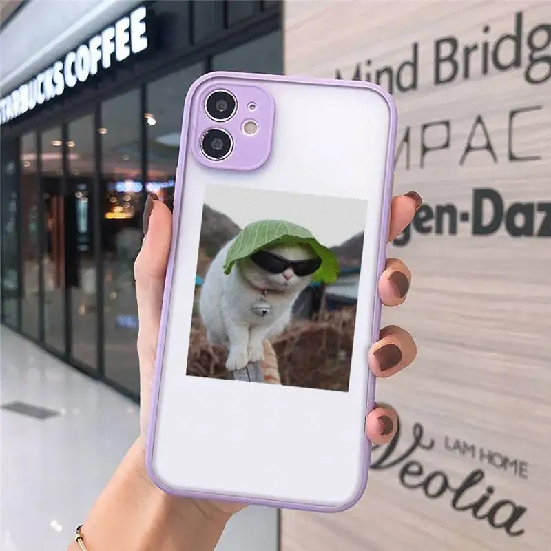 

Cute Cats New Year Gifts Phone Case For iPhone 12 11 Mini Pro XR XS Max 7 8 Plus X Matte transparent Purple Back Cover