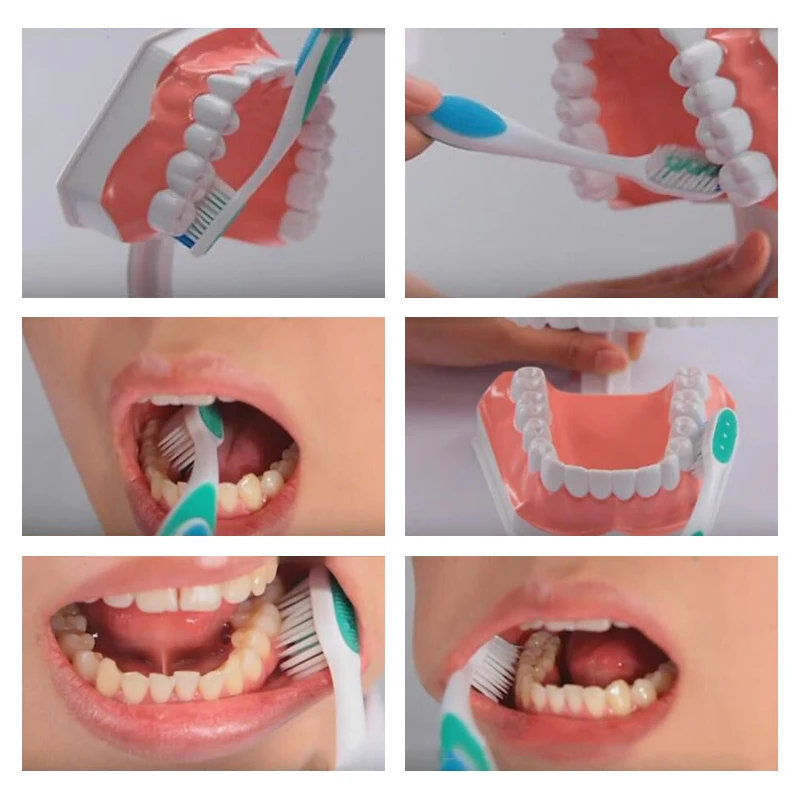 1PC Kids Pretend Play Toy Dentist Check Teeth Model Medical Educational Role Simulation Learing Toys For Children | Игрушки и хобби