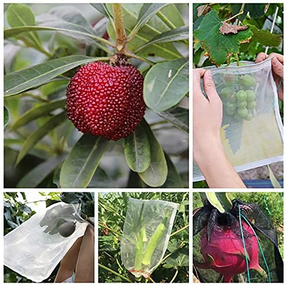 

100pcs 15x15x10cm Fruit Protection Bags Garden Netting Bags Anti-bird Bug Barrier For Protecting Plant Fruit Flower Vegetable