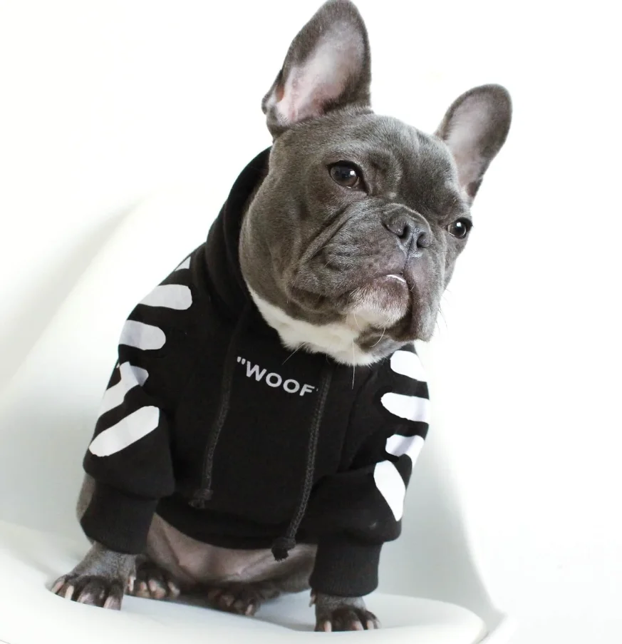 Французский одежда для бульдога толстовка с капюшоном собаки Adidog теплые