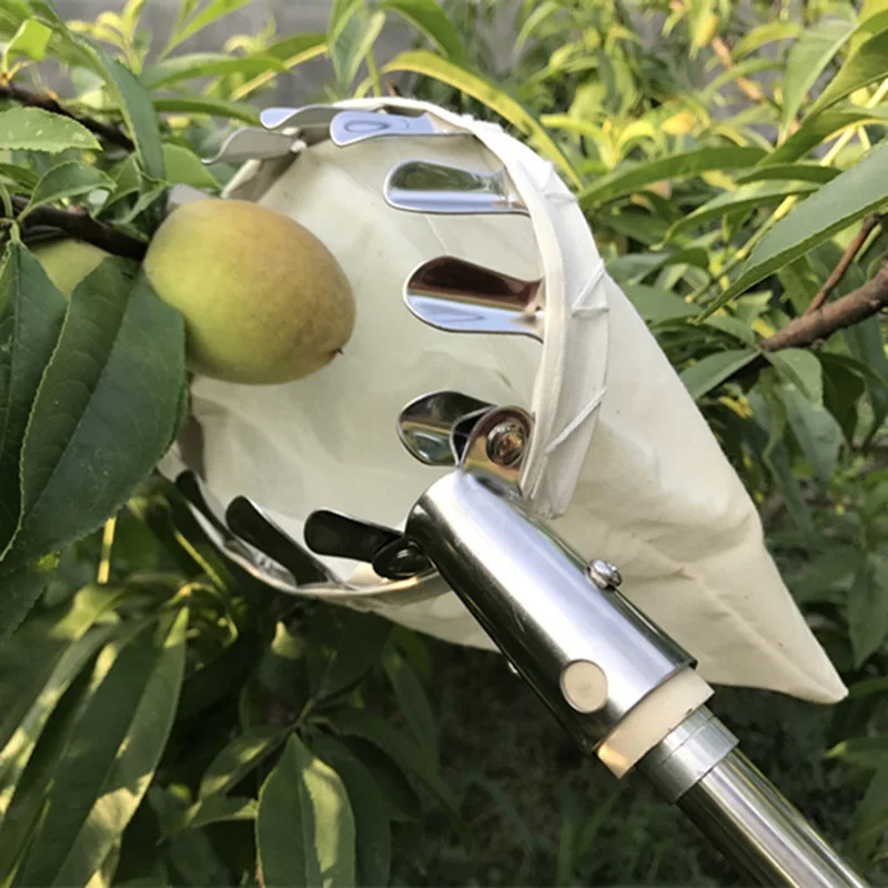 

High Quality Metal Fruit Picker Orchard Gardening Apple Peach High Tree Picking Tools Fruit Catcher Collector Gardening Tools