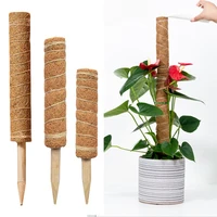 304550cm extended coir moss totem pole coconut fibre stick shell for plant support expansion rods stakes vines climbing frame