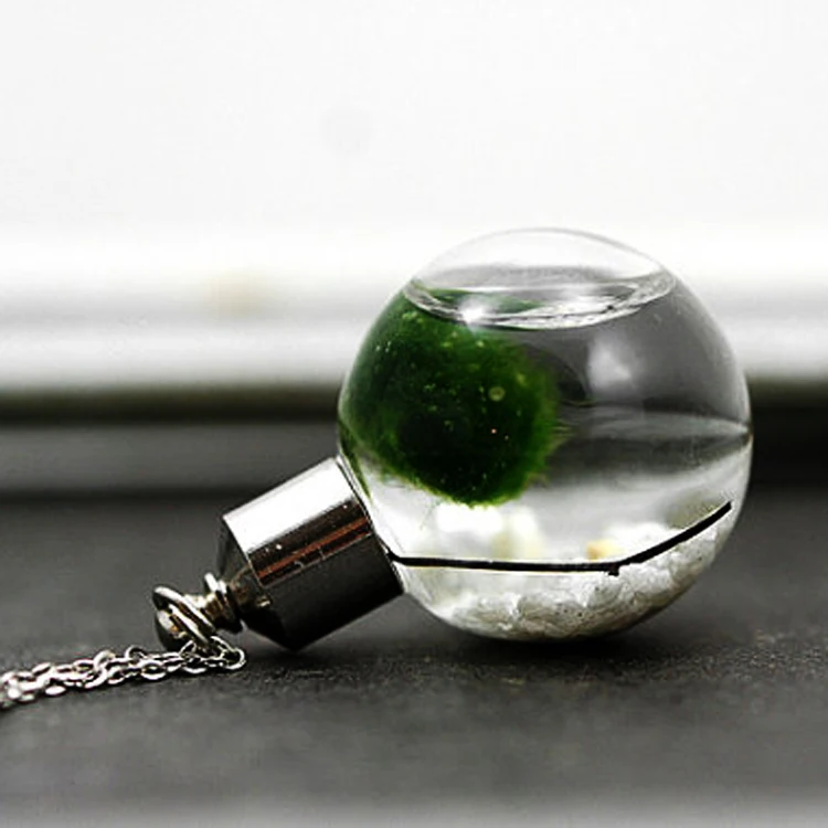 

4PCS Glass Ball Pendant Glass Globe Pendant DIY Hollow Glass Orbs Vial Pendants Wishing Glass Bottle Jewelry Making