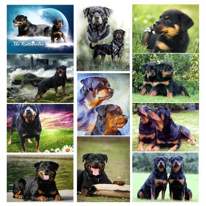 5d алмазная вышивка Ротвейлер Собака живопись крестиком милый питомец Сделай Сам