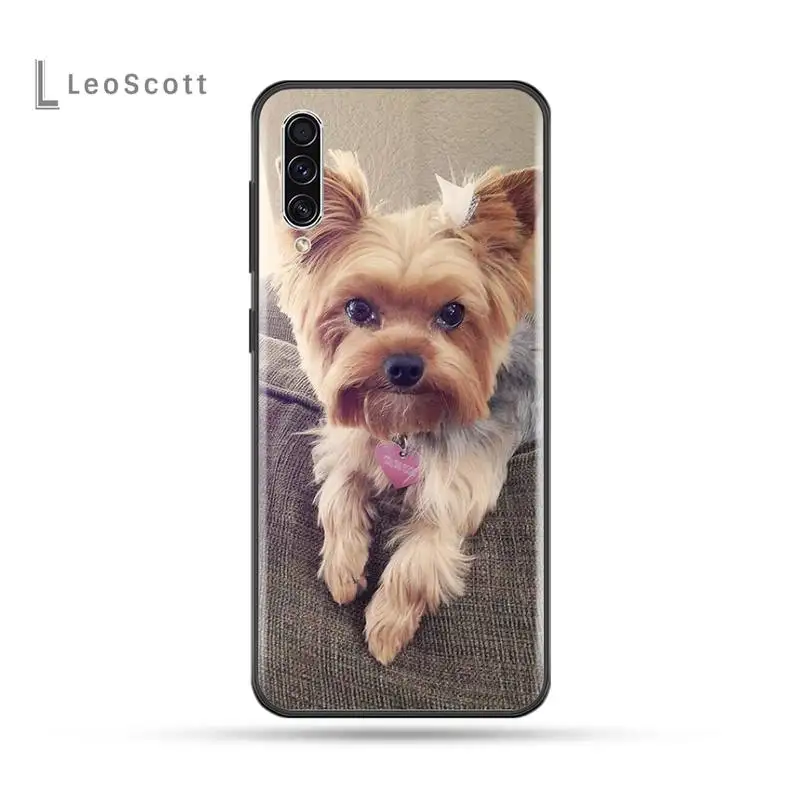 

Mini Yorkshire Terrier Dog Phone Case For Samsung Galaxy M10 20 30 A 40 50 70 71 6S A2 A6 A9 2018 J7 CORE PLUS STAR S10 5G C8