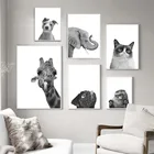 Черно-белый слон собака кошка Жираф Животные настенная Картина на холсте скандинавские плакаты и принты настенные картины декор детской комнаты