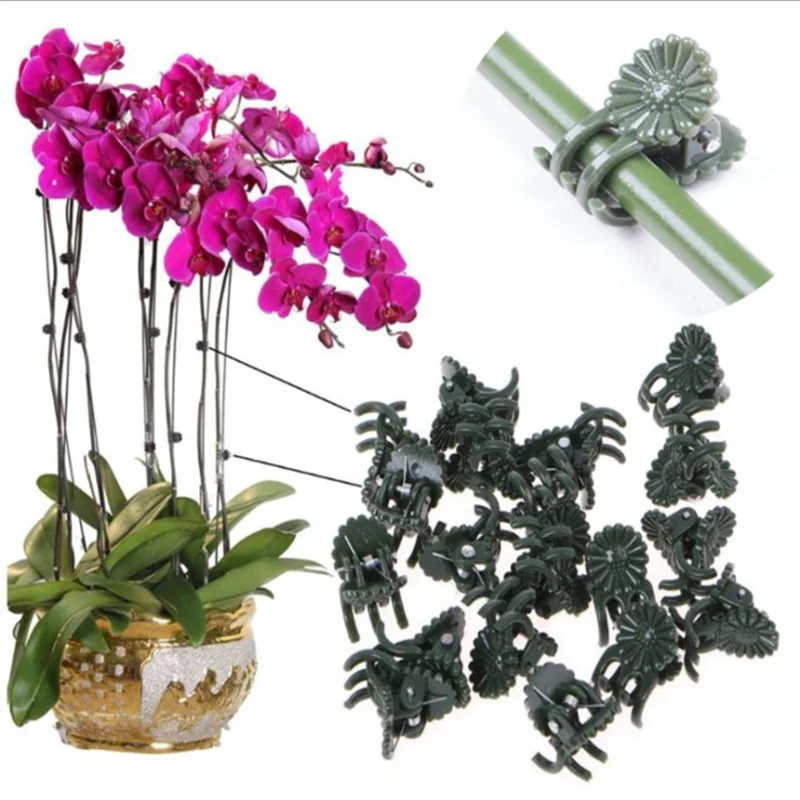 

Plant Support Clips Orchid Fixing Clips Flower Lever Loop Gripper Clips For Flower Plant JS22