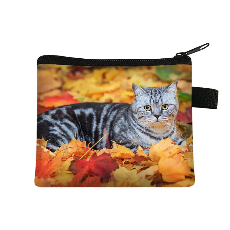 Кошелек для мелочи новый детский кошелек с животным котом Студенческая