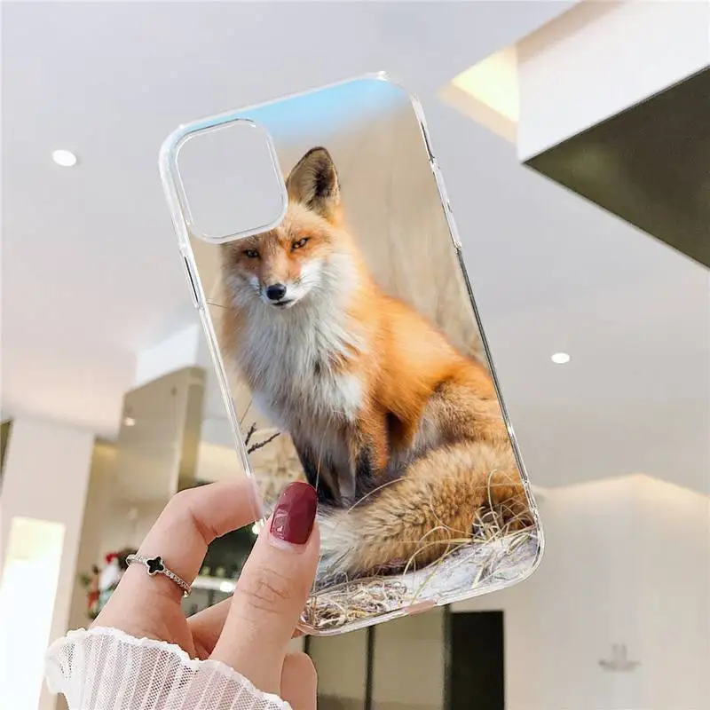 

Cute Fox In Autumn Phone Case Transparent soft For iphone 5 5s 5c se 6 6s 7 8 11 12 plus mini x xs xr pro max