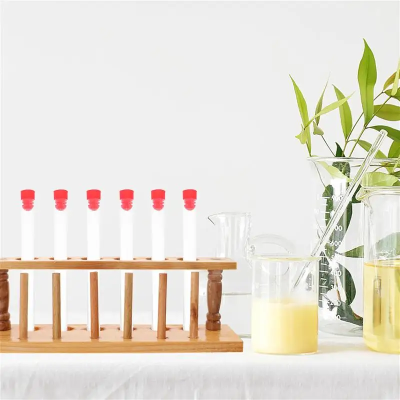 

2 Pcs Test Tube Rack 6 Hole Portable Tidy Durable Test Tube Stand Organizer for Laboratory