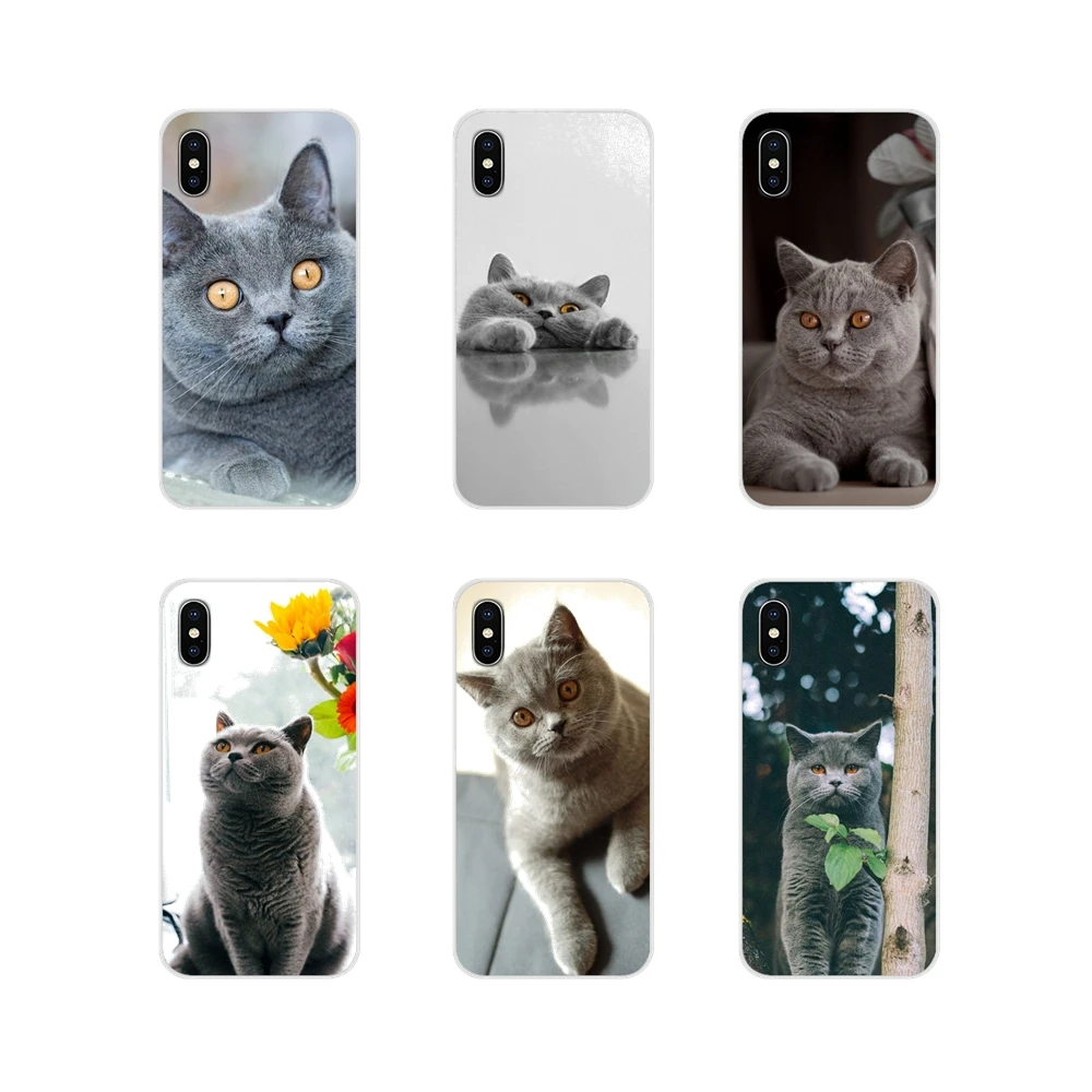 Прозрачные мягкие чехлы с британским котом короткого воздуха для Huawei G7 G8 P8 P9 P10 P20