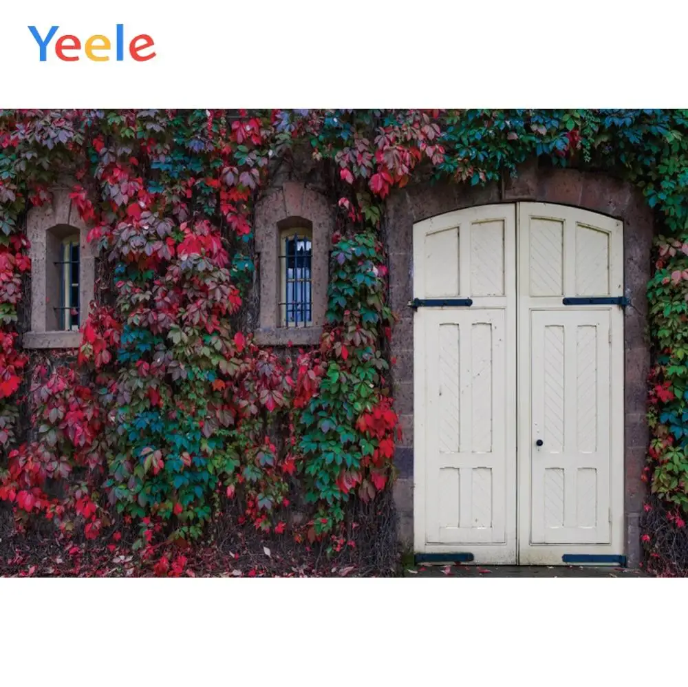 Yeele Ретро Дом порог двор лоза дверь окно детский портрет фотографический фон