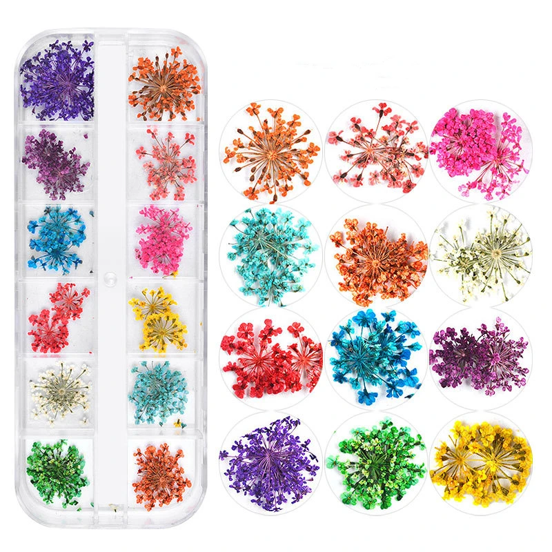 

48 Colors Dried Flowers Nail Art Butterfly Glitter Nail Stickers Sequins Supplies Face Body Gifts Decoration Accessories 4 Boxes