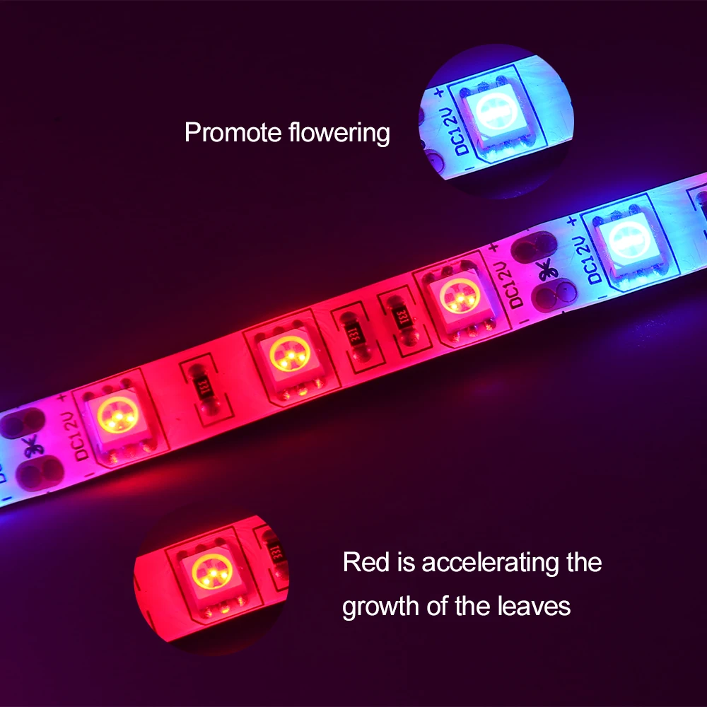 СВЕТОДИОДНАЯ лента SMD 5050 12 В постоянного тока 5 м 60 светодиодов/м IP21 IP65 IP67