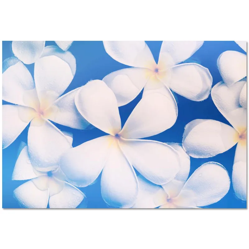 

New Arrival Custom Flower Plumeria Canvas Painting Poster Home Decor Cloth Fabric Wall Art Poster for Living Room