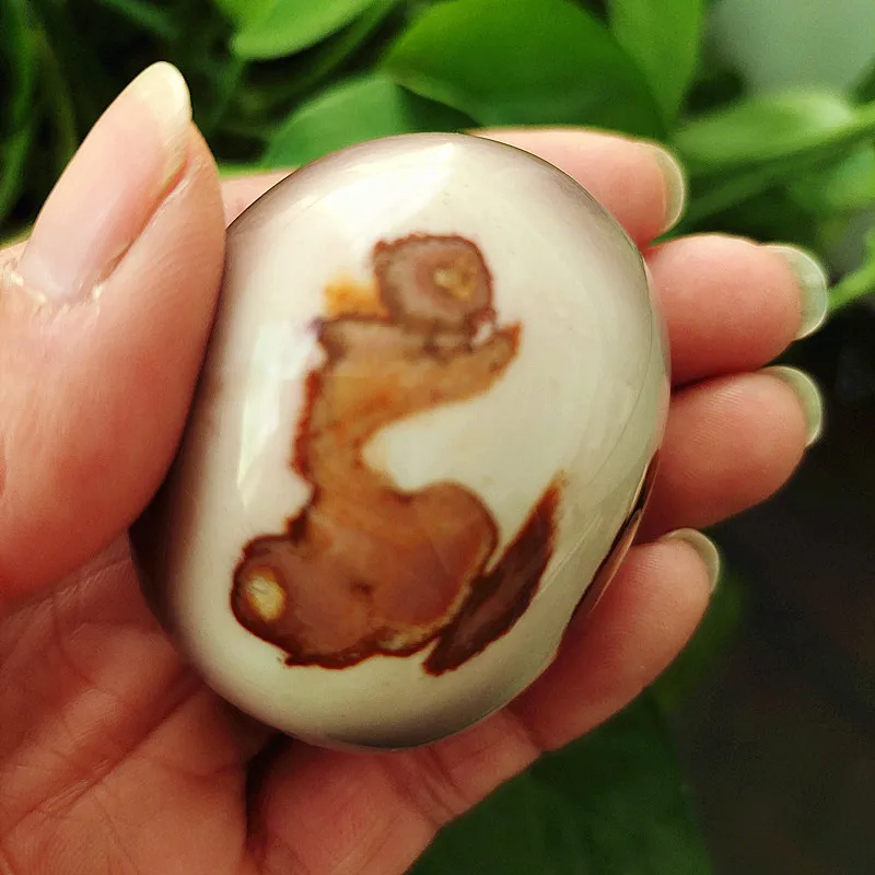 

Natural stone Marine palm healing crystals Decorative collection stones and crystals