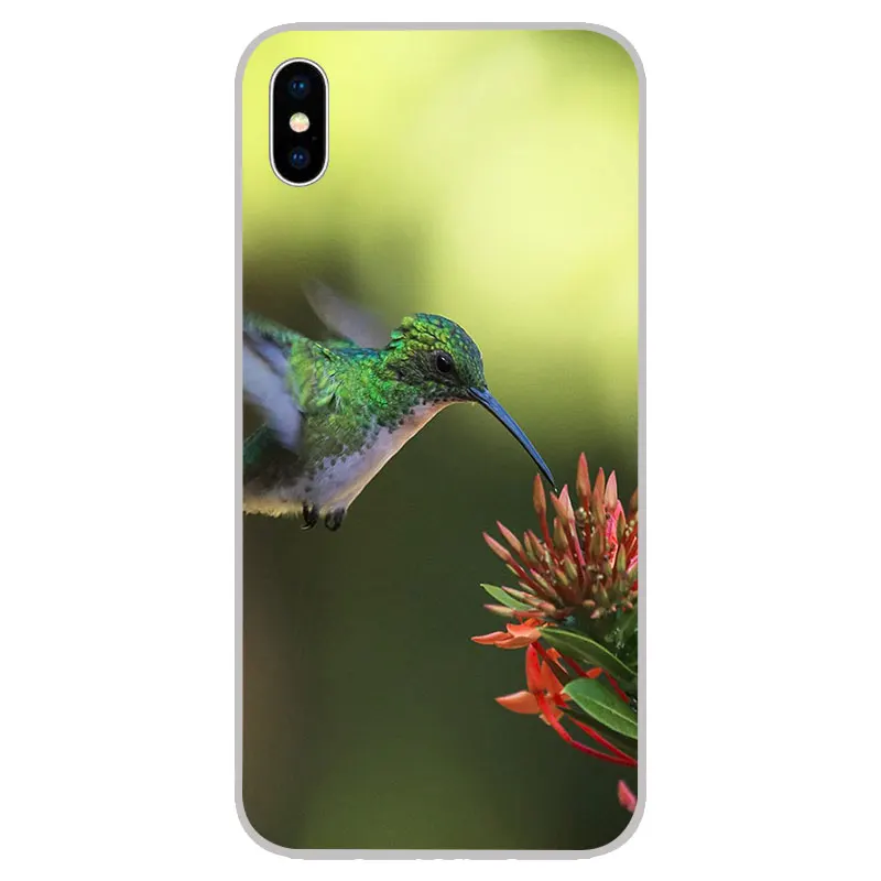Силиконовые мягкие чехлы из ТПУ Колибри для iPhone 11 Pro XS Max X XR 8 7 6S Plus 5s SE 4S