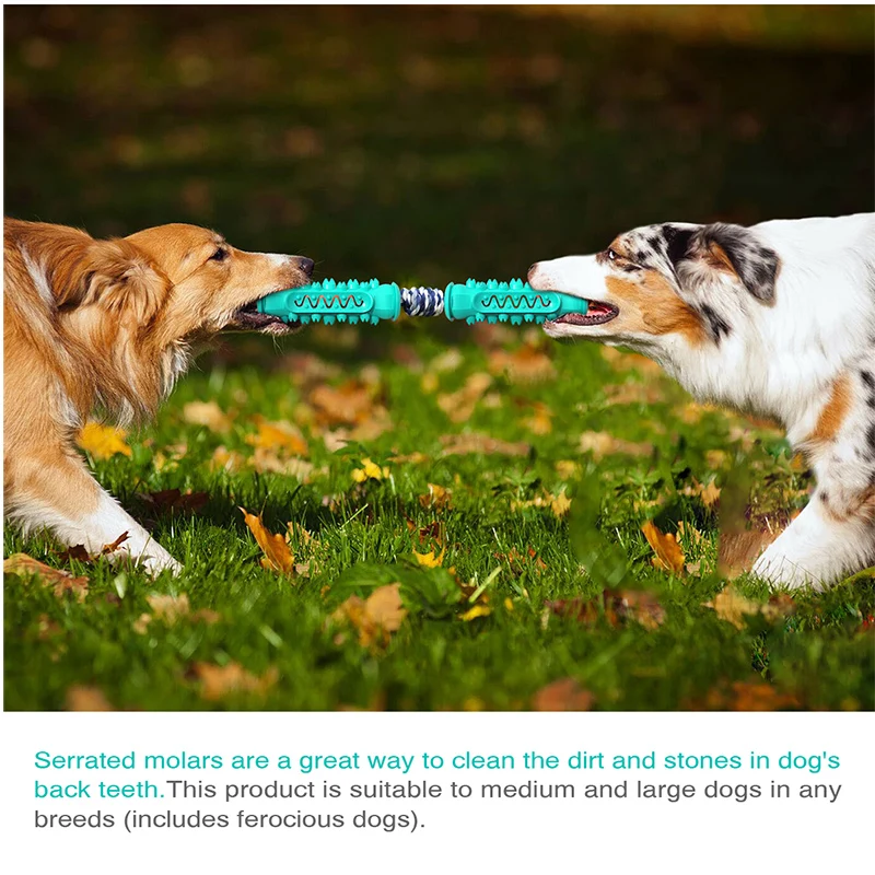 

Pet Dog Toys for Chewers Double Molar Stick Gnawing Cleaning Bone Multifunctional Dog Toothbrush TPR for Small Medium Large Dogs