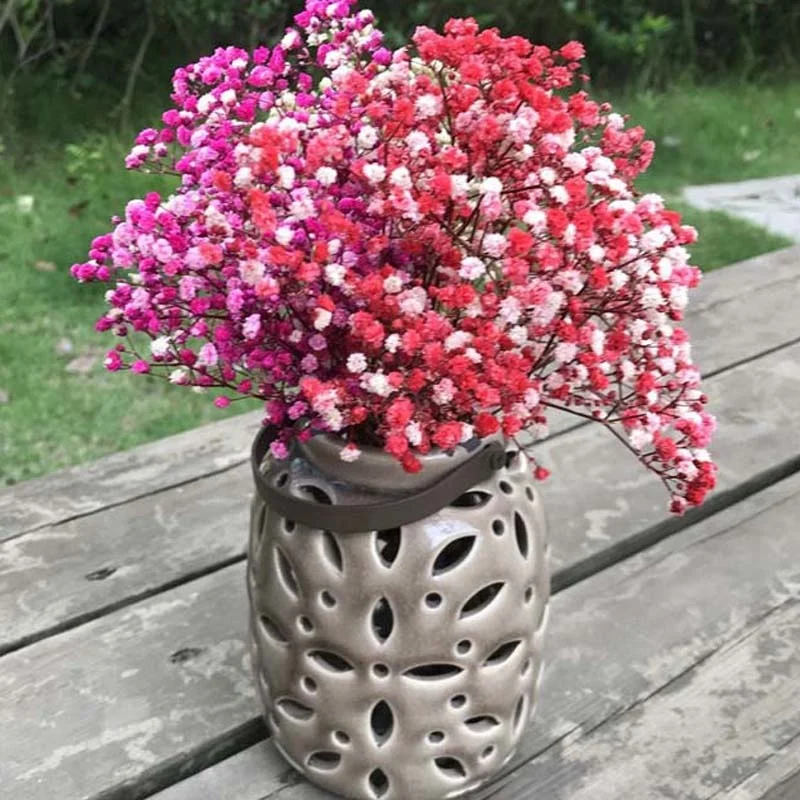 

35G Baby breath Natural fresh Dried preserved flowers, real Forever Baby Breath Flower Tak For Diy Eternal Flower Material