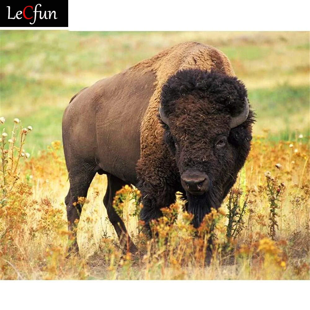 

Алмазная 5D картина по номерам LeCfun для самостоятельного творчества, наборы для взрослых, бизон, животное, полная вышивка кристаллами Стразы, ...