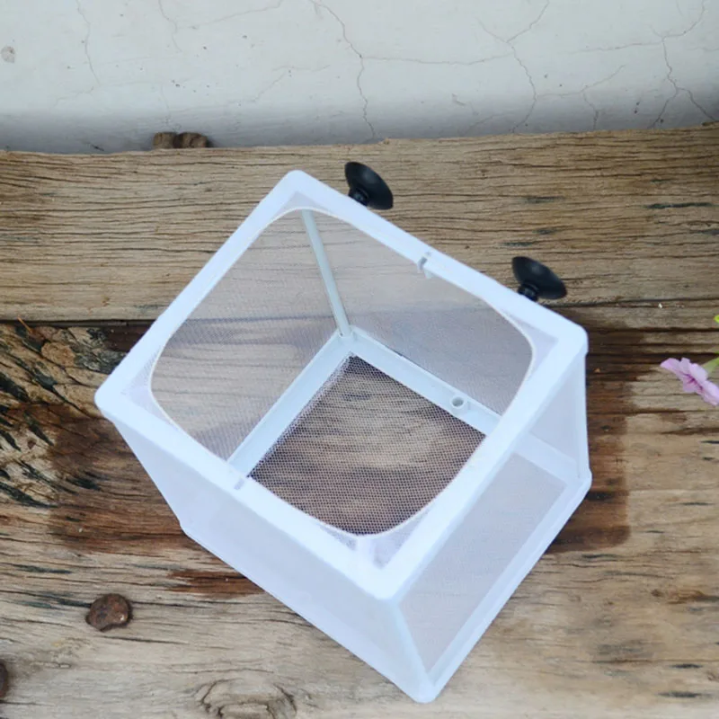 Small Fish Fry Separation Box In The Tank Isolation Net Breeding Production Hatching Large Delivery Room | Дом и сад