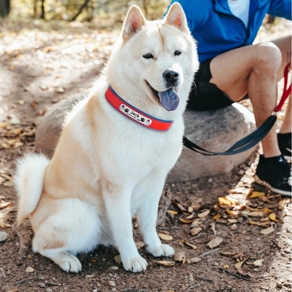 Ошейник для собак кожаный светоотражающий с гравировкой ID щенков крупных