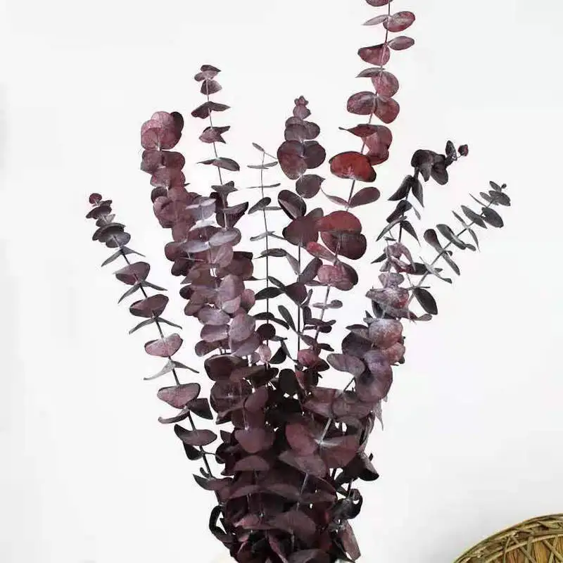 

10Pcs/Lot Natural Eucalyptus Leaves Branches Stems Dried Flower Real Palnt Ornament for DIY Easter Wreath Wedding Home Decor