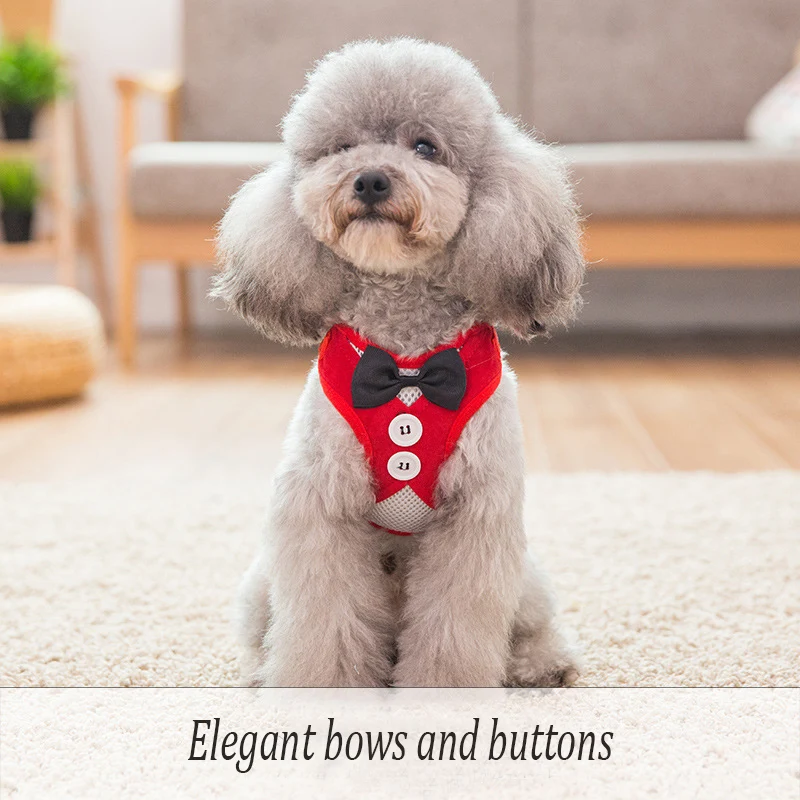 Модная решетчатая поводок с бантом для собак комплект Тедди бишон Чихуахуа