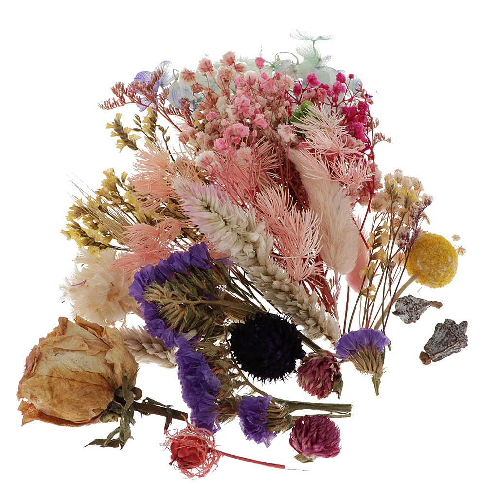 1 коробка прессованные листья Натуральные сушеные цветы для скрапбукинга