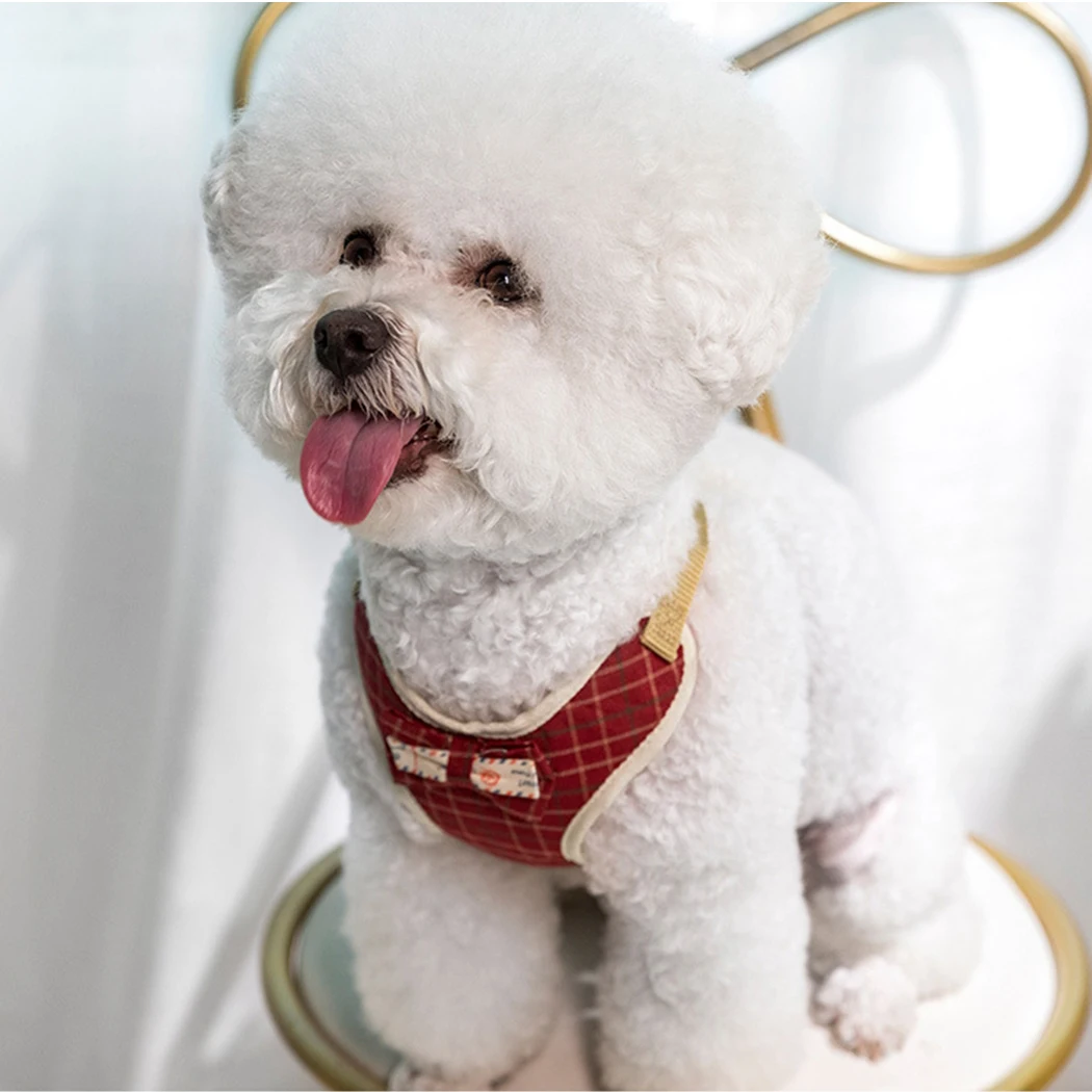 

Pet Harness Leash Set Household Vest Type Leashing Rope Cats Dogs Chest Straps Dog Rope Outing For Small Medium-Sized Dogs