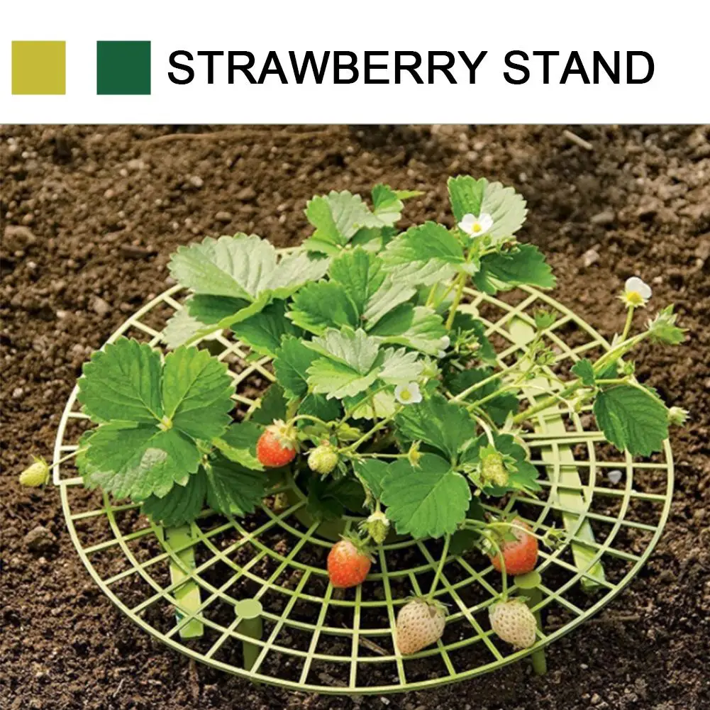 10 шт. клубника рамка держателя посадка на балконе стеллаж для фруктов Поддержка