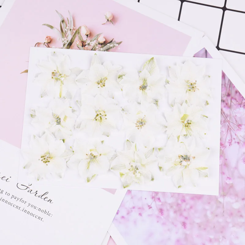 12 шт./упак. сохранить букет прессованные цветы маленькие сушеные для