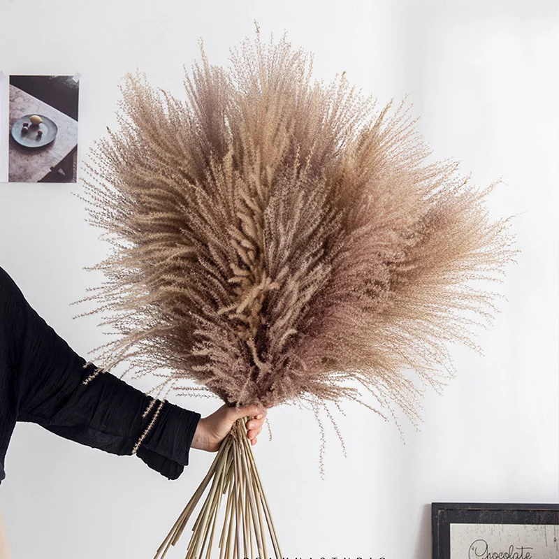 

10 Pcs Pampas Grass Decor Wedding Brown Plants Reed Flowers Home Dried Flower Bouquet Natural Party Diy Valentine's Day