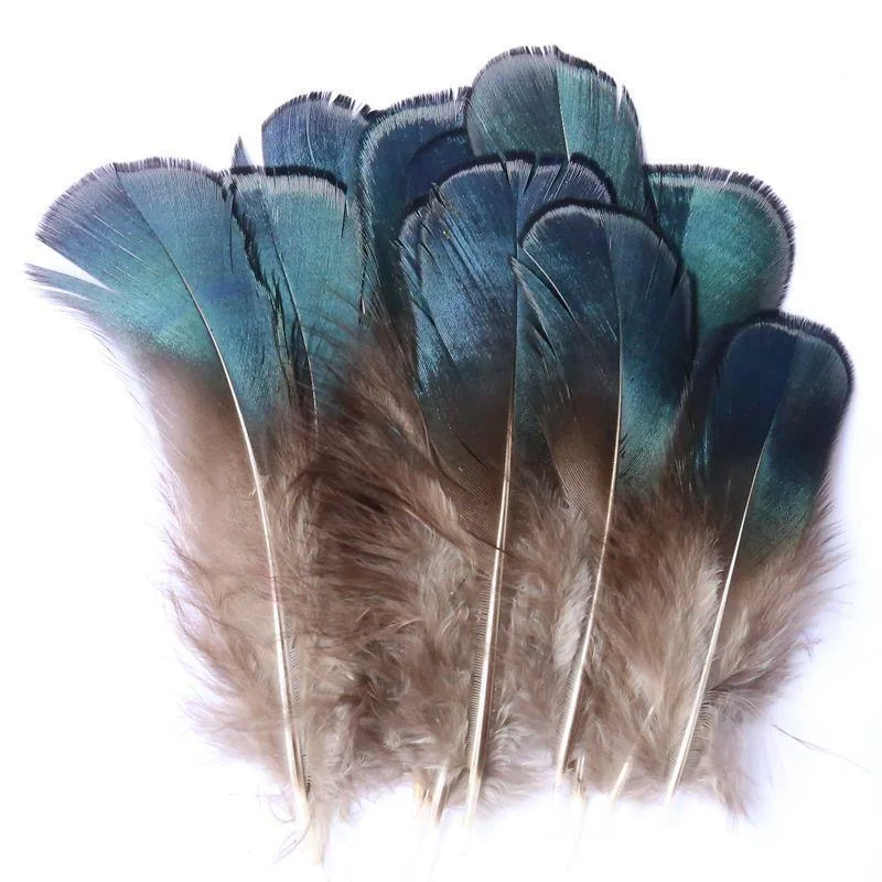 

30pcs/lot * Natural Feathers for Crafts Jewelry Making Christmas Decoration Plumes Plumas
