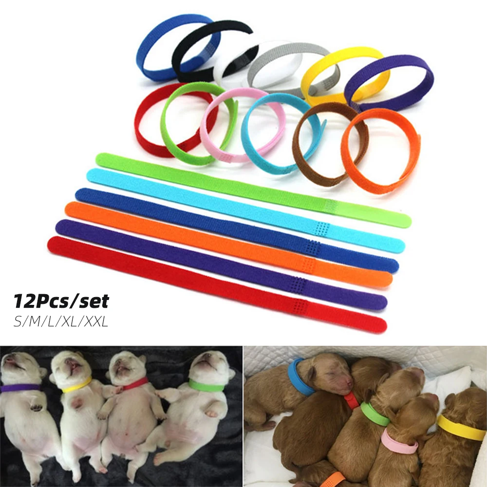 

12 Pcs/Set Puppy Newborn Pets Identify Collars Adjustable Nylon Small Pet Dog Collars Kitten Necklace Puppy Collars