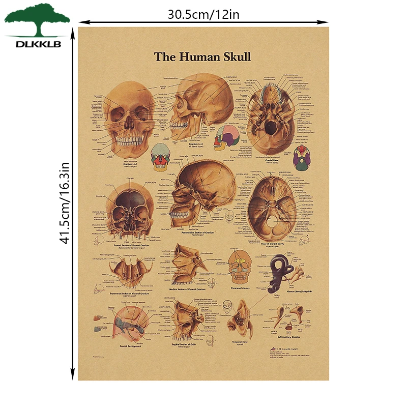 Каркас тела DLKKLB структура нервной системы плакат для бара домашний декор ретро
