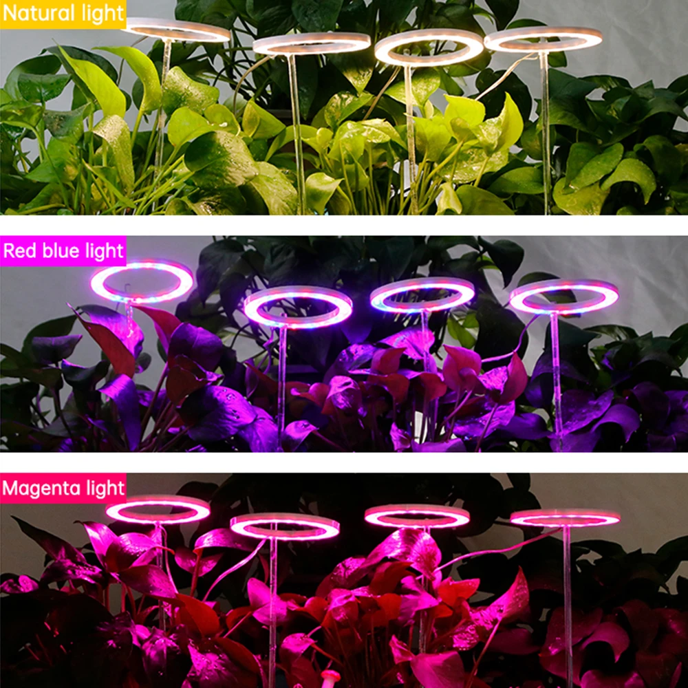 ملاك أربعة حلقة ضوء النمو 5 فولت USB ضوء النبات LED الطيف الكامل داخلي النباتات الشتلات المنزلية زهرة الشتلات الخفيفة