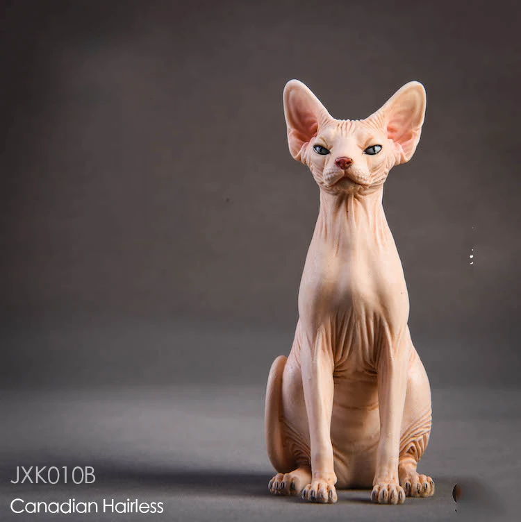 1/6 модель животного из смолы Jxk010 1/6 канадская безволосая кошка Сфинкс 3 цвета животное F 1" фигурка солдата